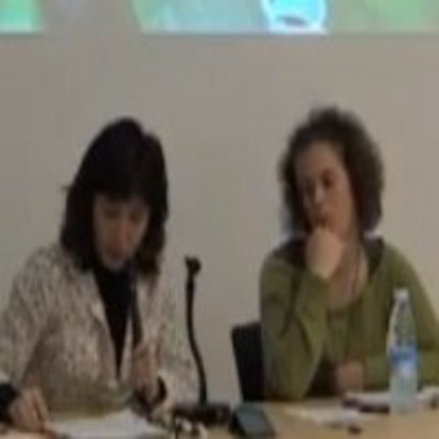 TXIMELETA: Jornadas de presentación de proyectos educativos alternativos. (2 de 5)
