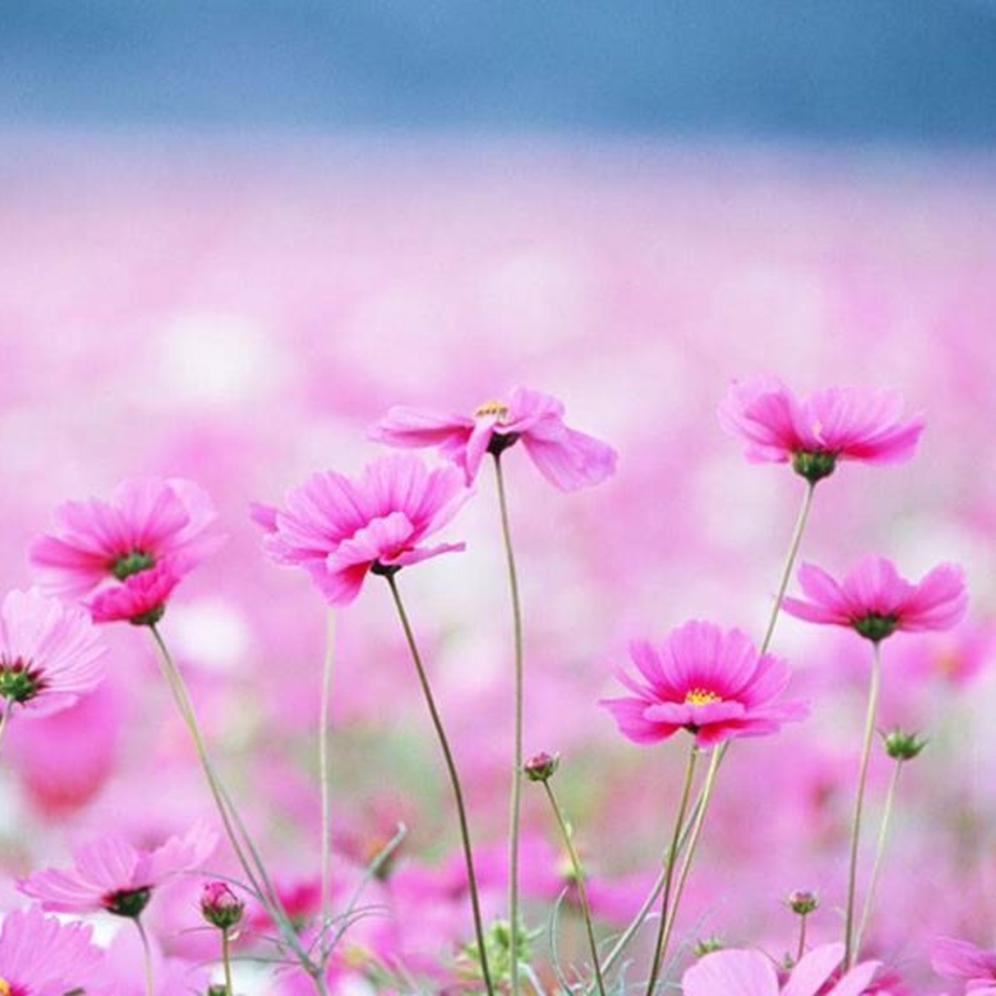 Radio Encuentro: TIEMPO DE CAMBIO