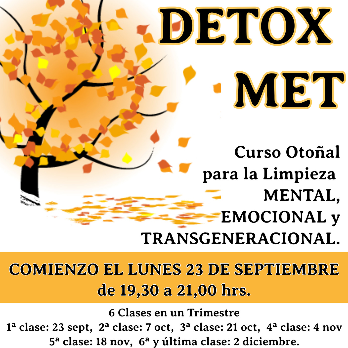 Mindfulness con Luz Navas Torres