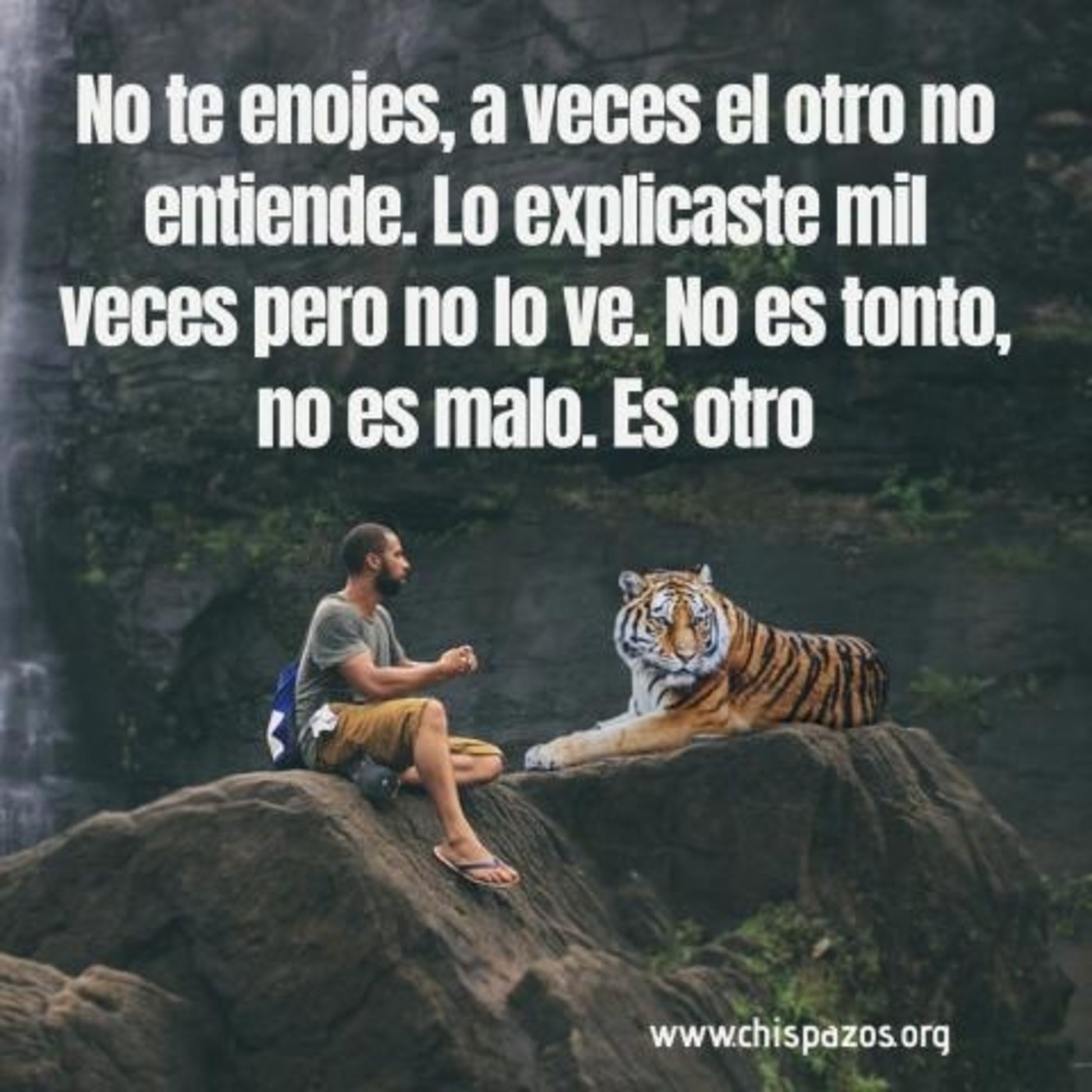 chispazos de vida