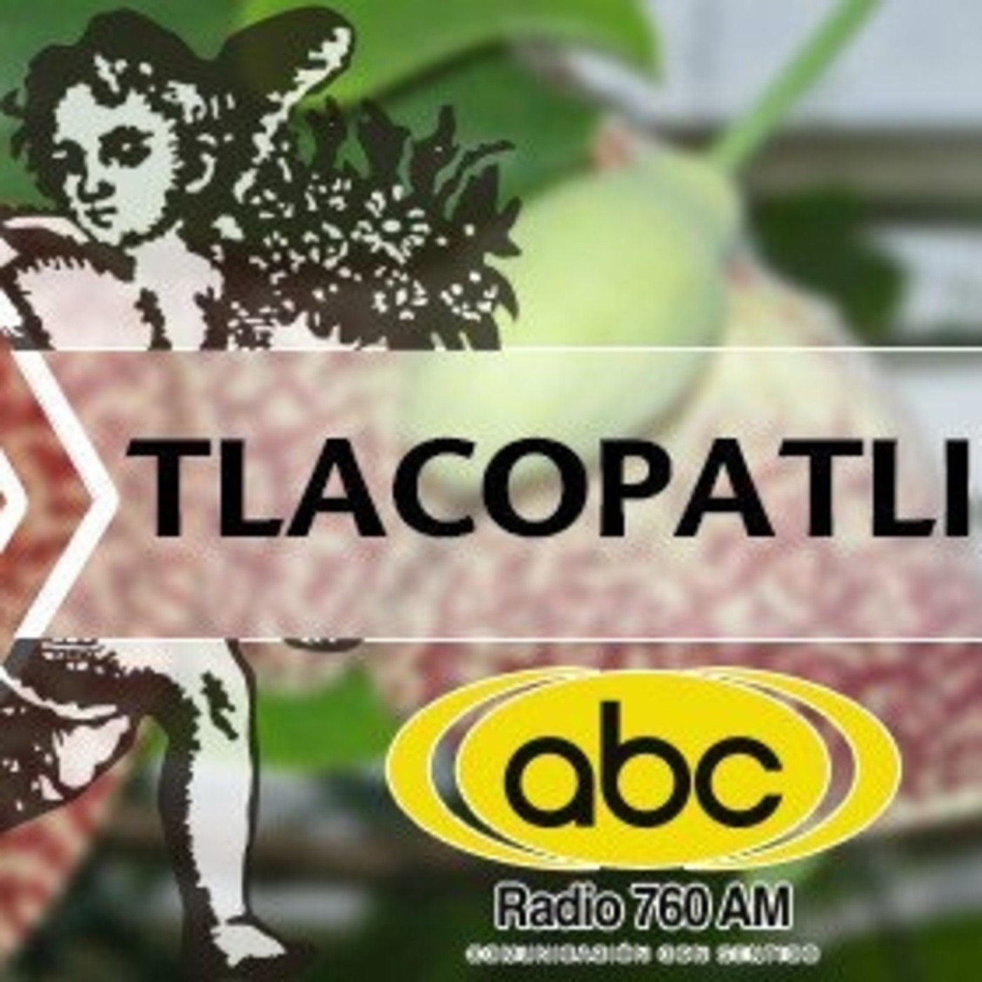 El Ángel de tu Salud - TLACOPATLI