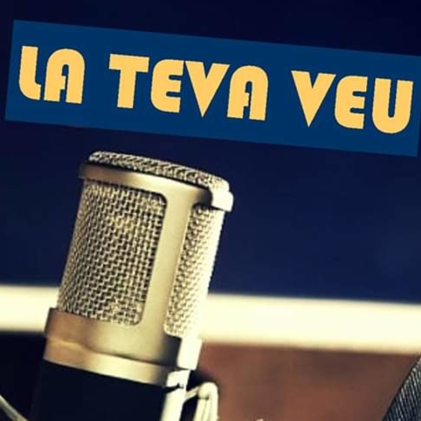 La teva veu