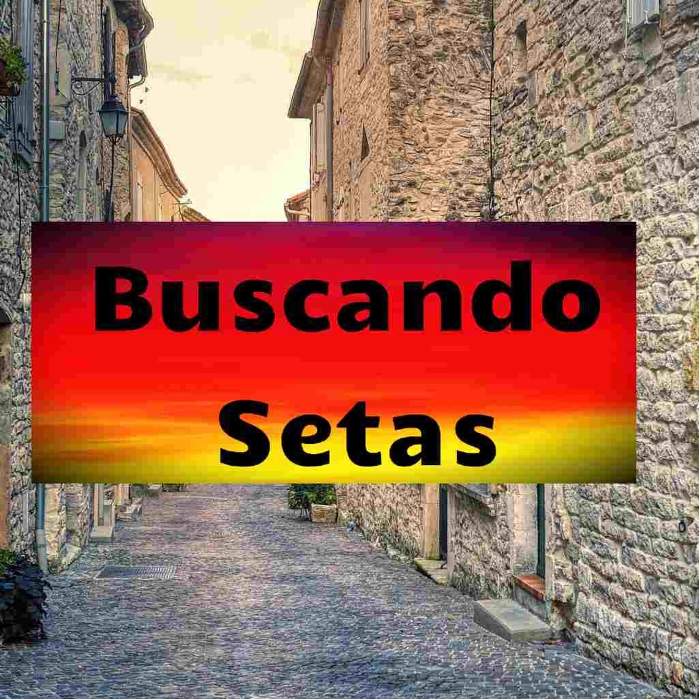 PROGRAMA BUSCANDO SETAS