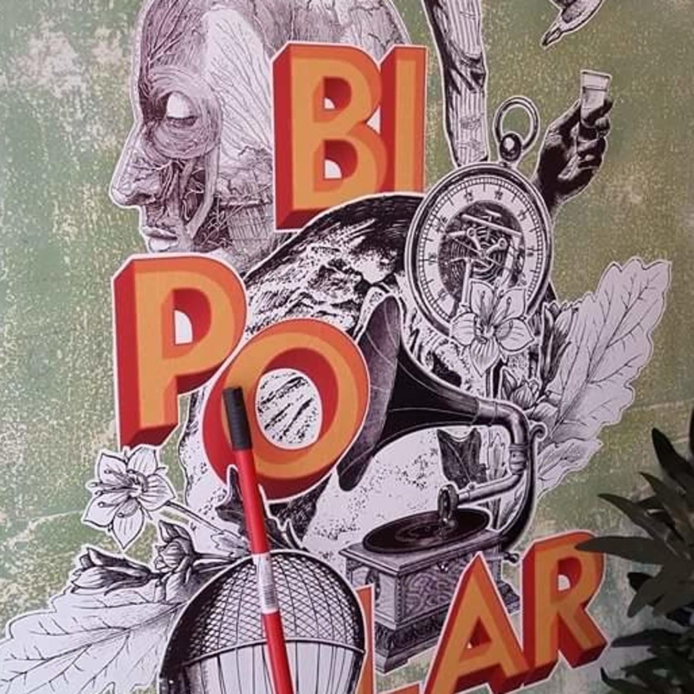 81- Las causas del trastorno bipolar episode artwork