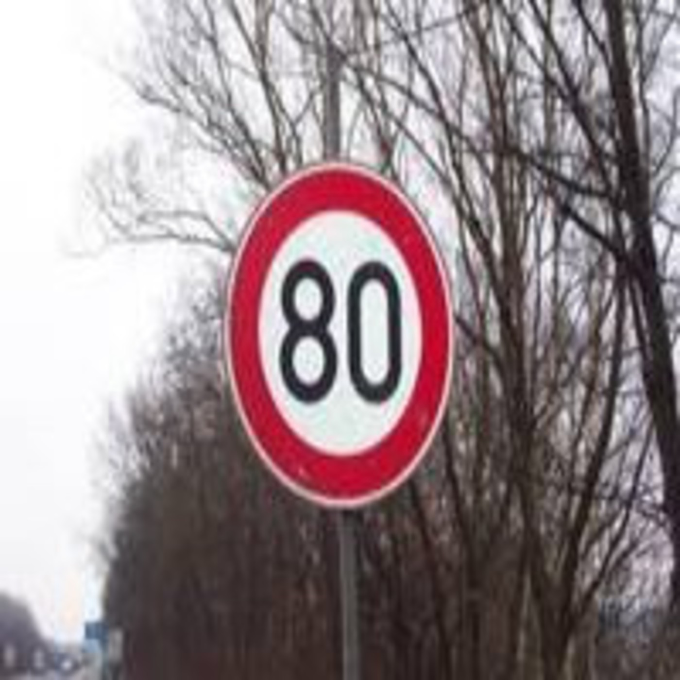 Programa del 18 de octubre de 2014