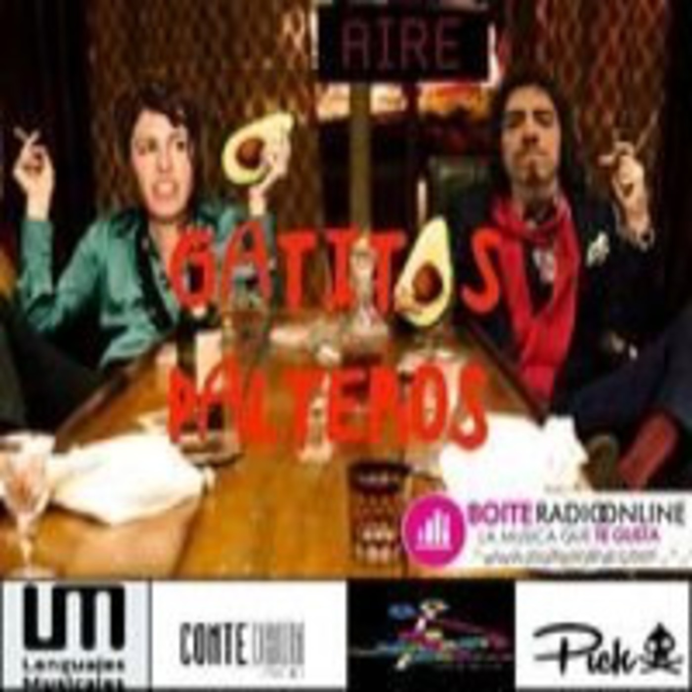 Gatitos Plateros - Miércoles 21 de Ene.