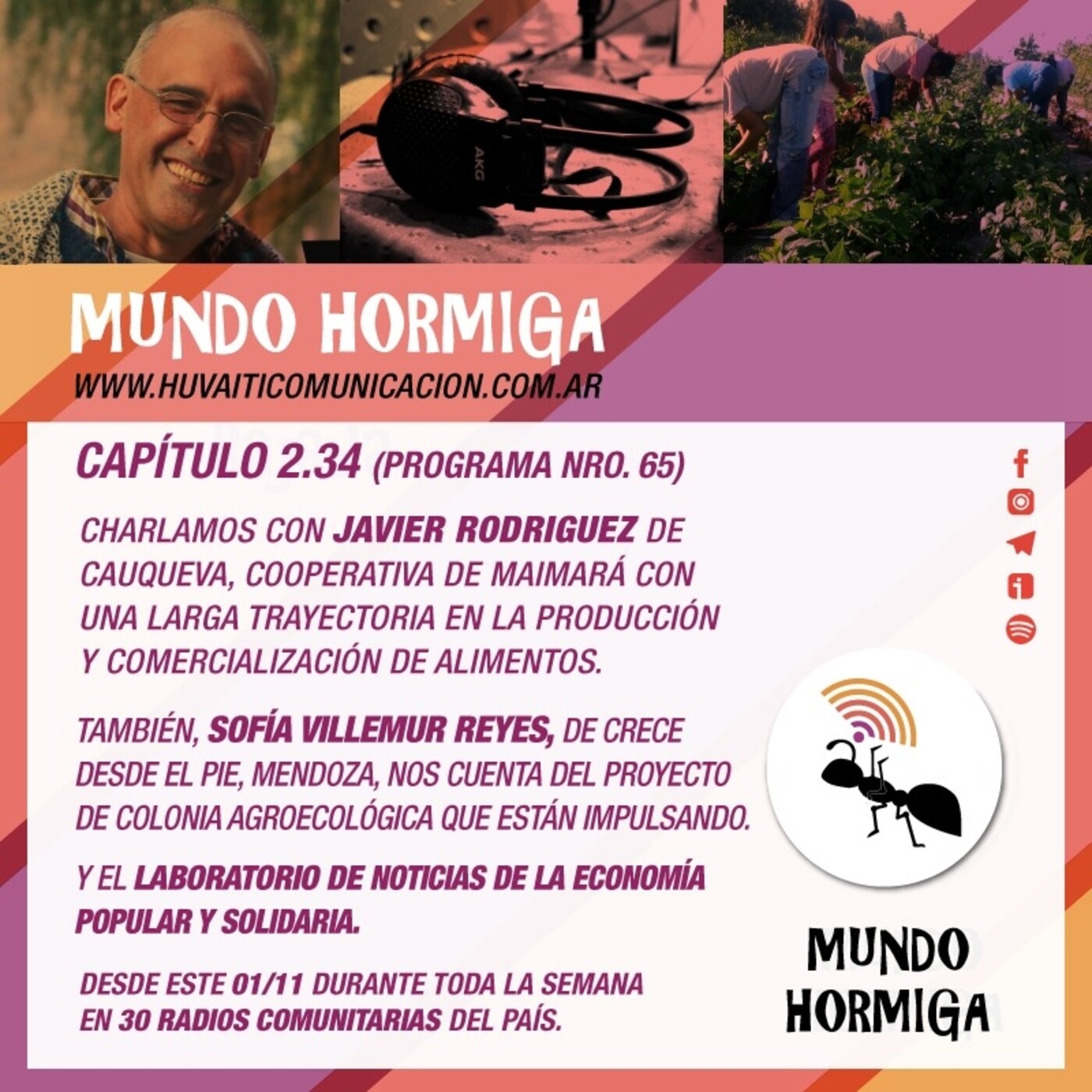 Mundo Hormiga 1 de noviembre de 2020 episode artwork