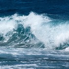 Budismo práctico: Las emociones en el Camino Espiritual