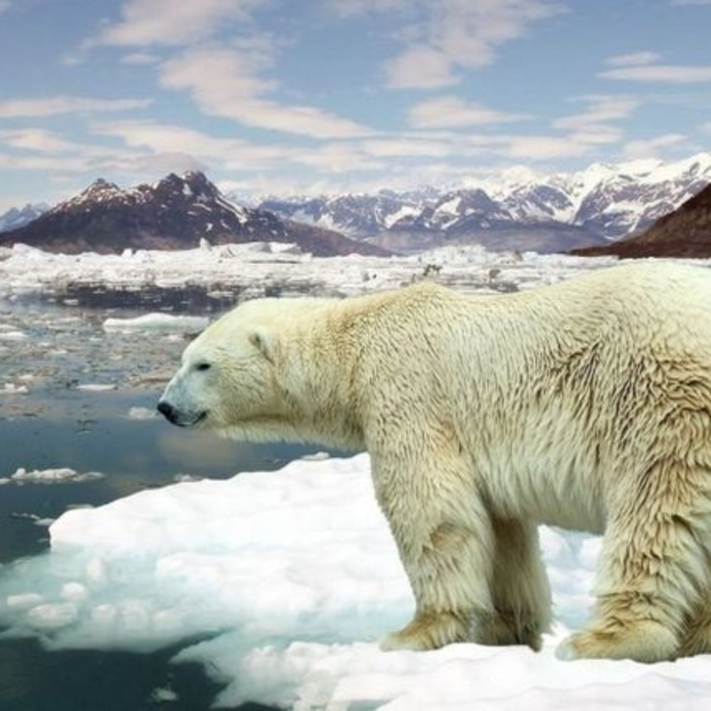 Taller de Podcast sobre el Cambio Climático