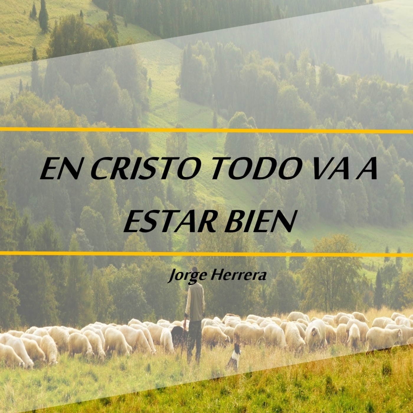 Miércoles Cúcuta
