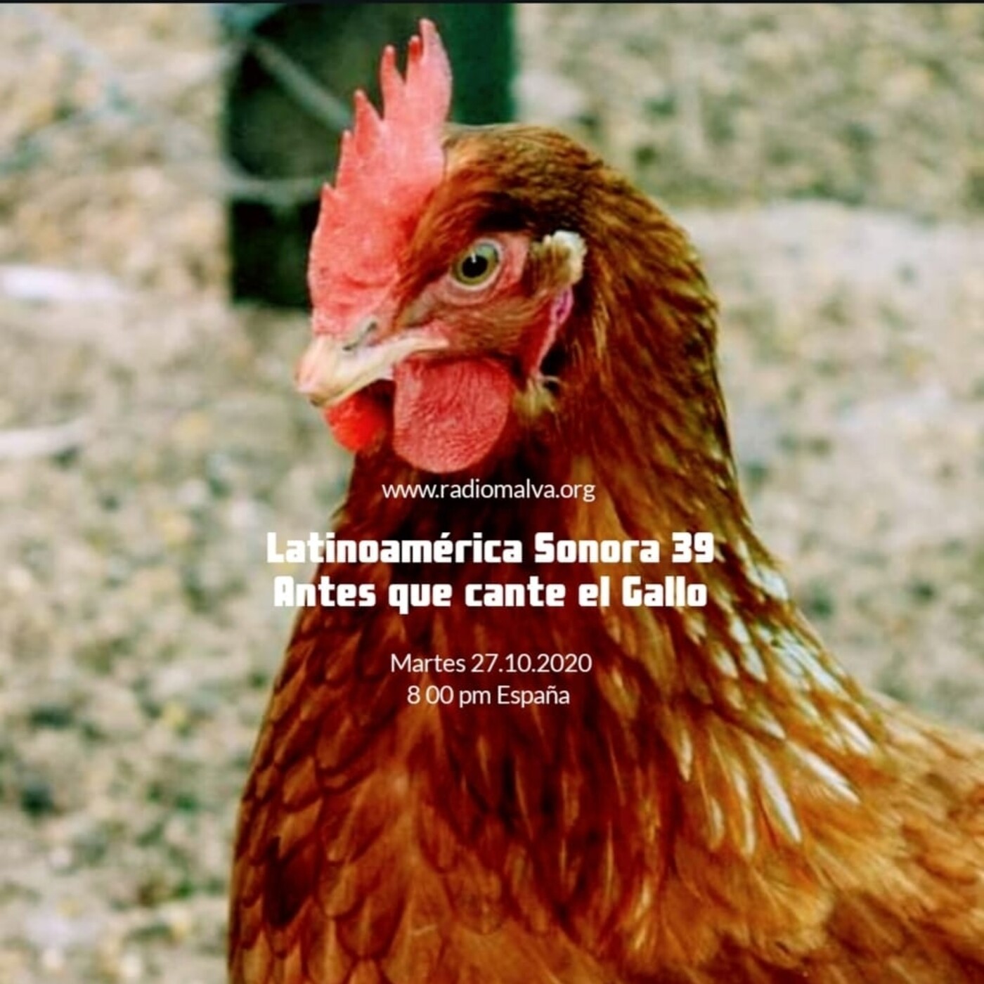 Latinoamérica Sonora Músicas del Mundo
