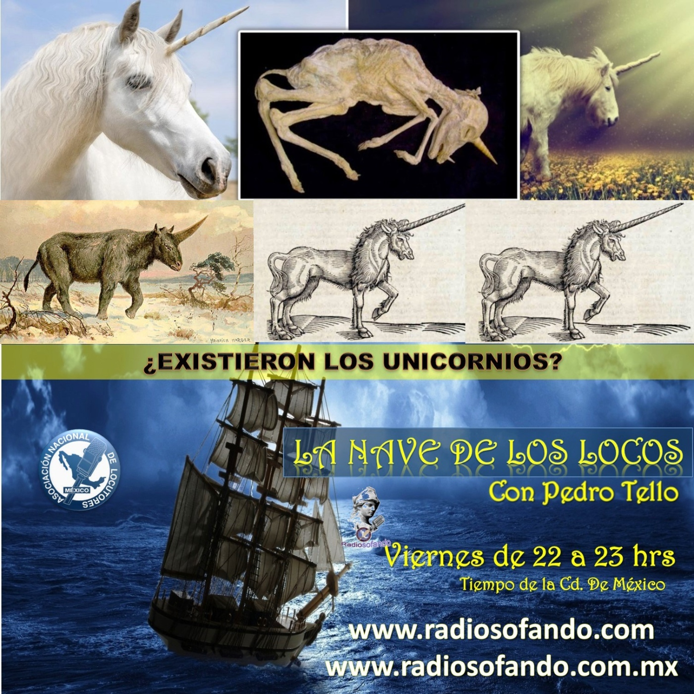 La Nave de los Locos_¿EXISTIERON LOS UNICORNIOS?_17-03-23 episode artwork