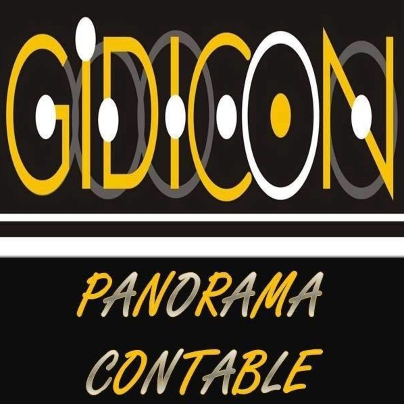 Panorama Contable