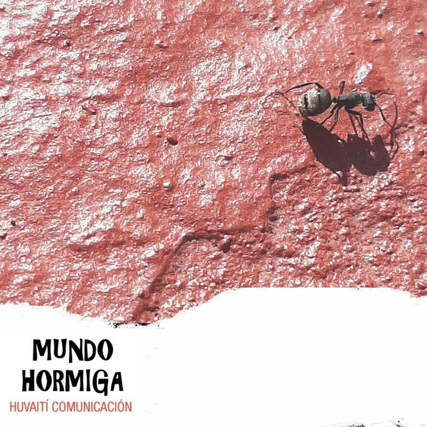Mundo Hormiga 28 de febrero de 2021 episode artwork