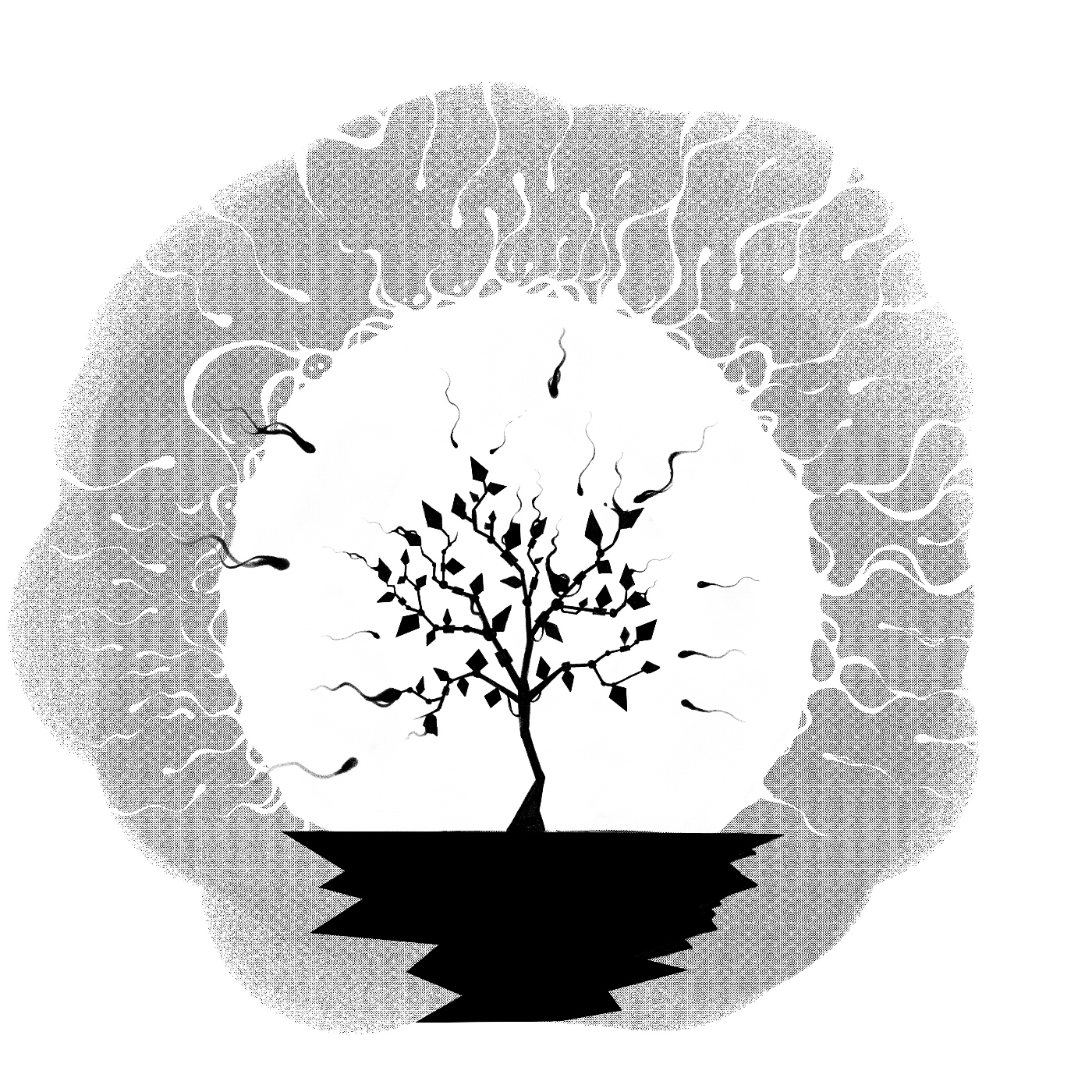 Oliver Ray Audiolibros