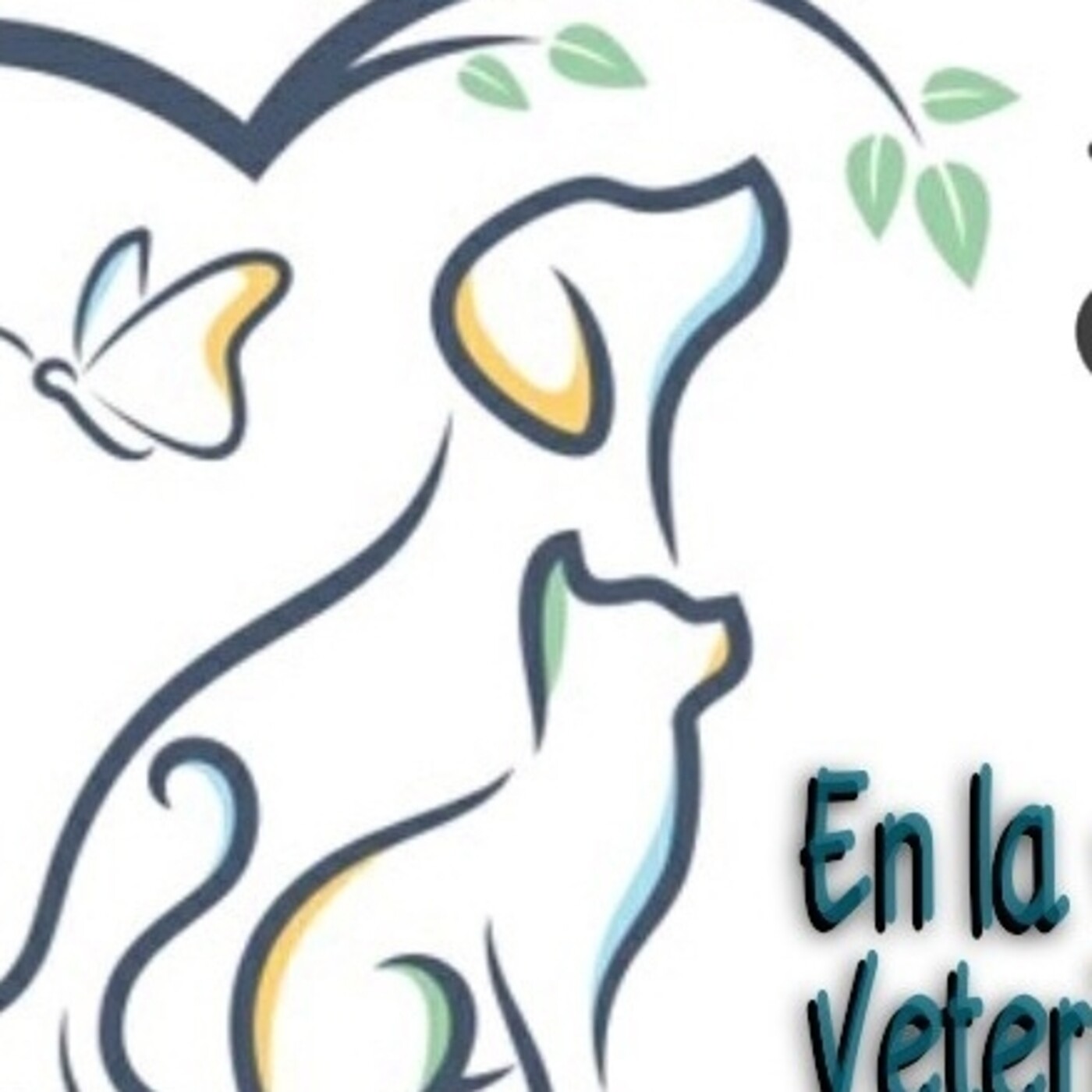 En la voz del veterinario. 020221 p123 (1) episode artwork