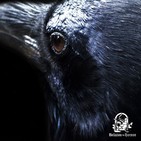 Historias De Brujas Vol. LXXXVIII