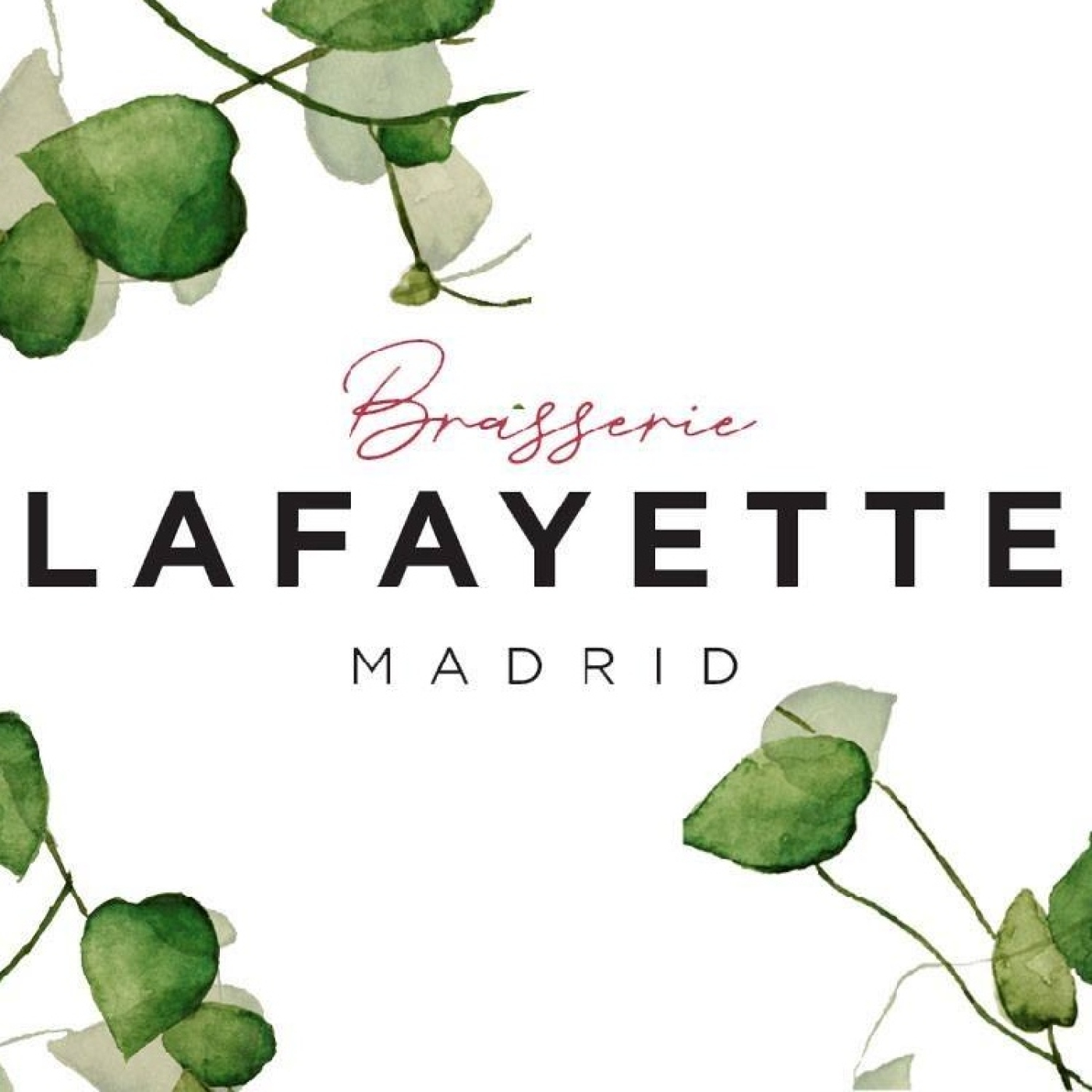 VINO PARA CAMALEONES