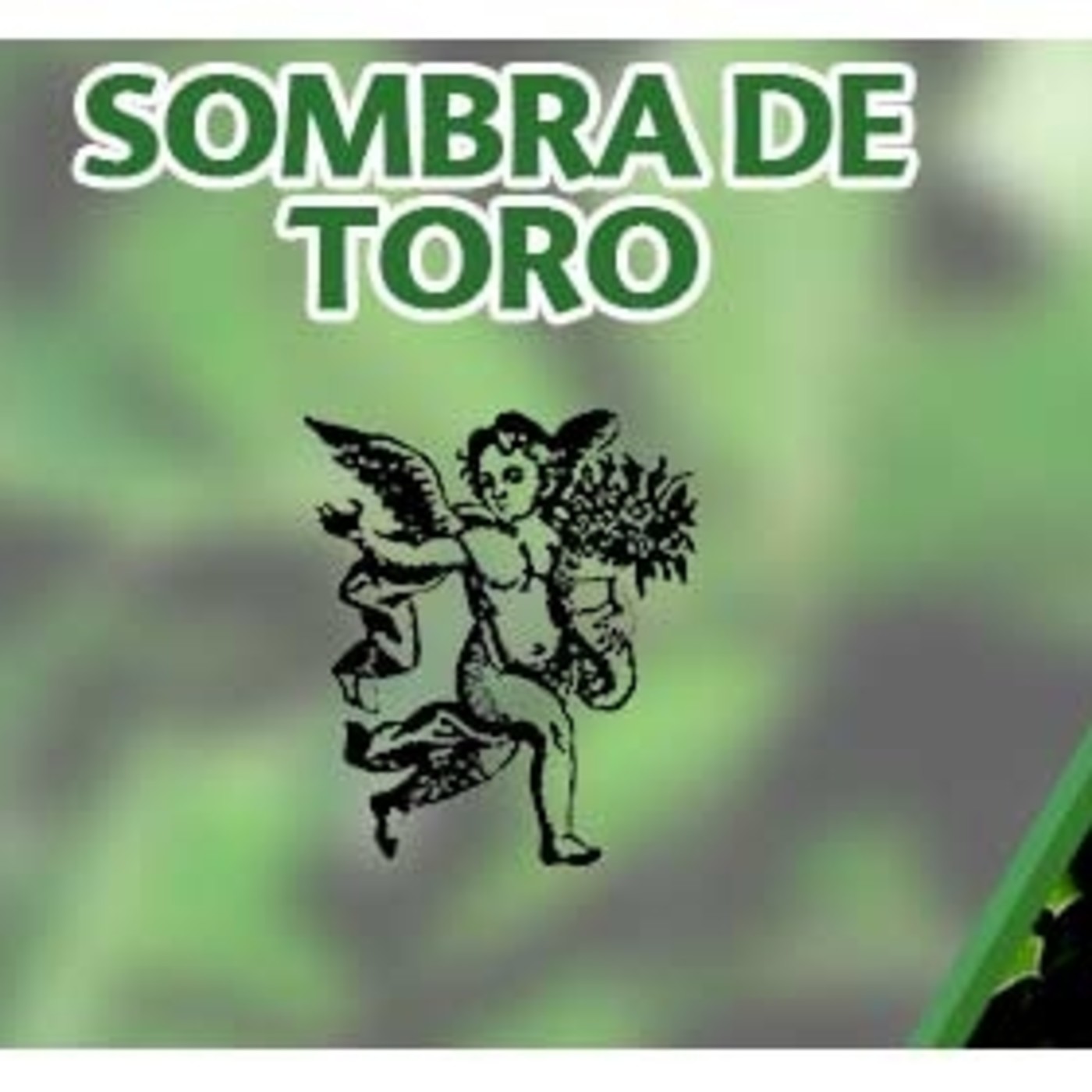 El Ángel de tu Salud - SOMBRA DE TORO episode artwork