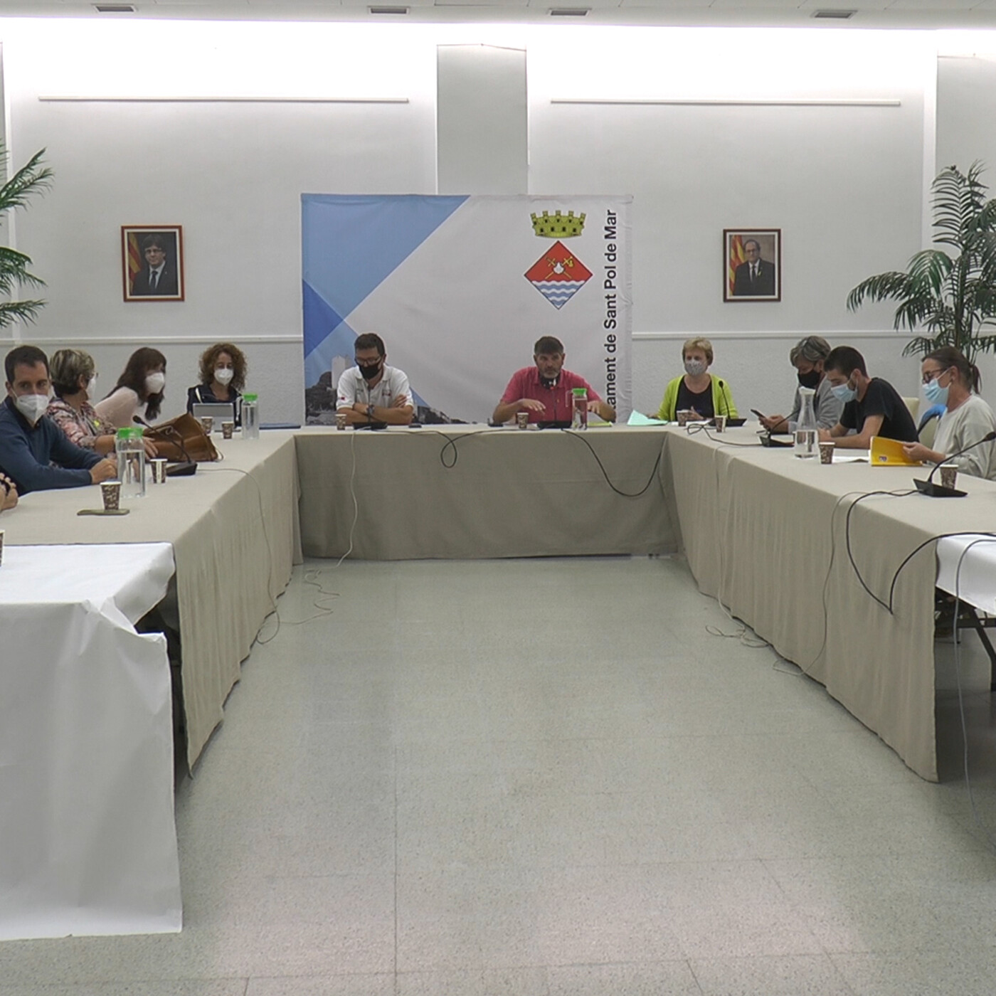 Plens municipals