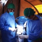 Nuevas experiencias en Mozambique: historias que salvan el alma