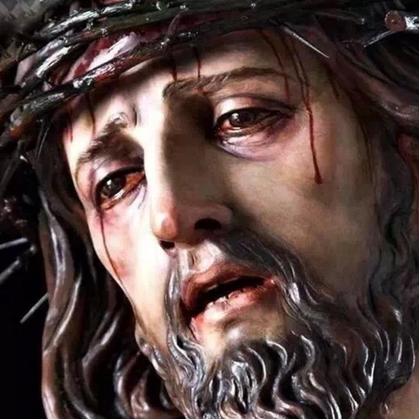 Evangelio diario y Meditación