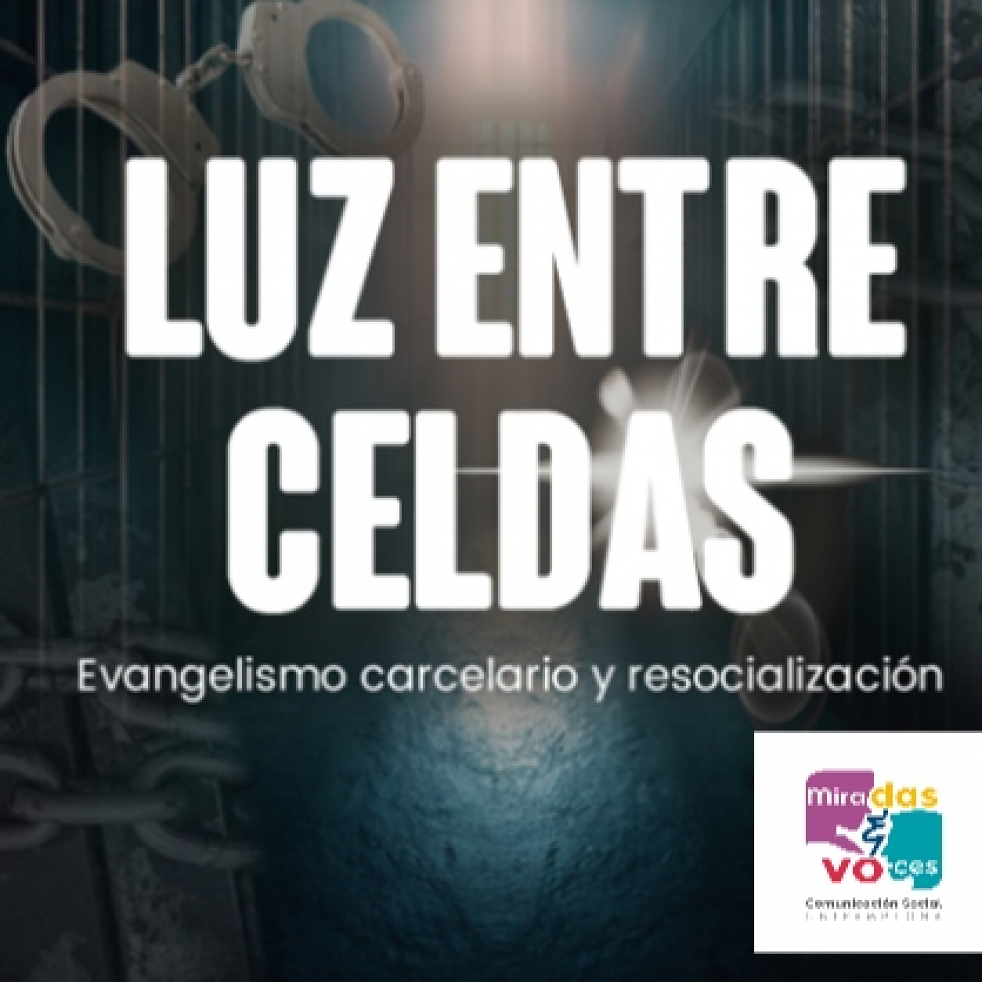Miradas y Voces