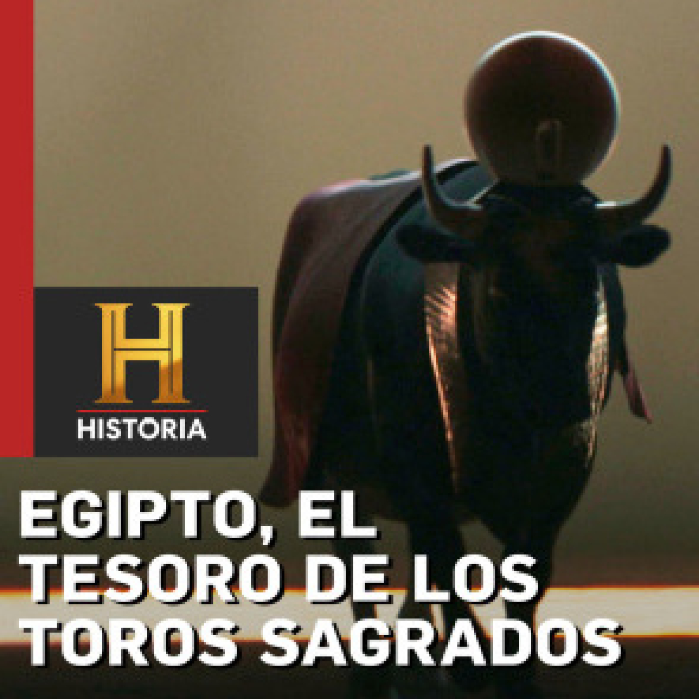 Egipto, el tesoro de los toros sagrados