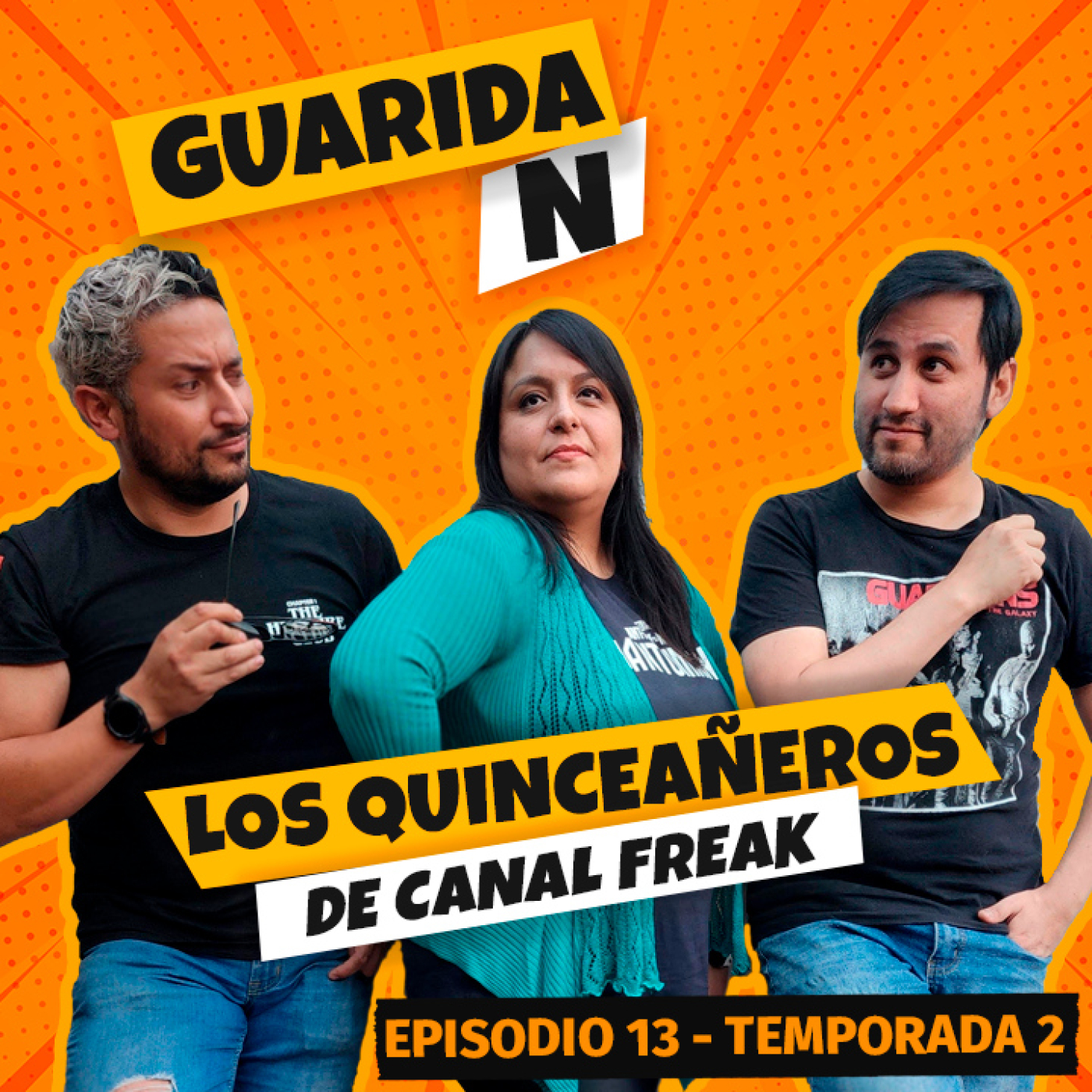 Guarida N
