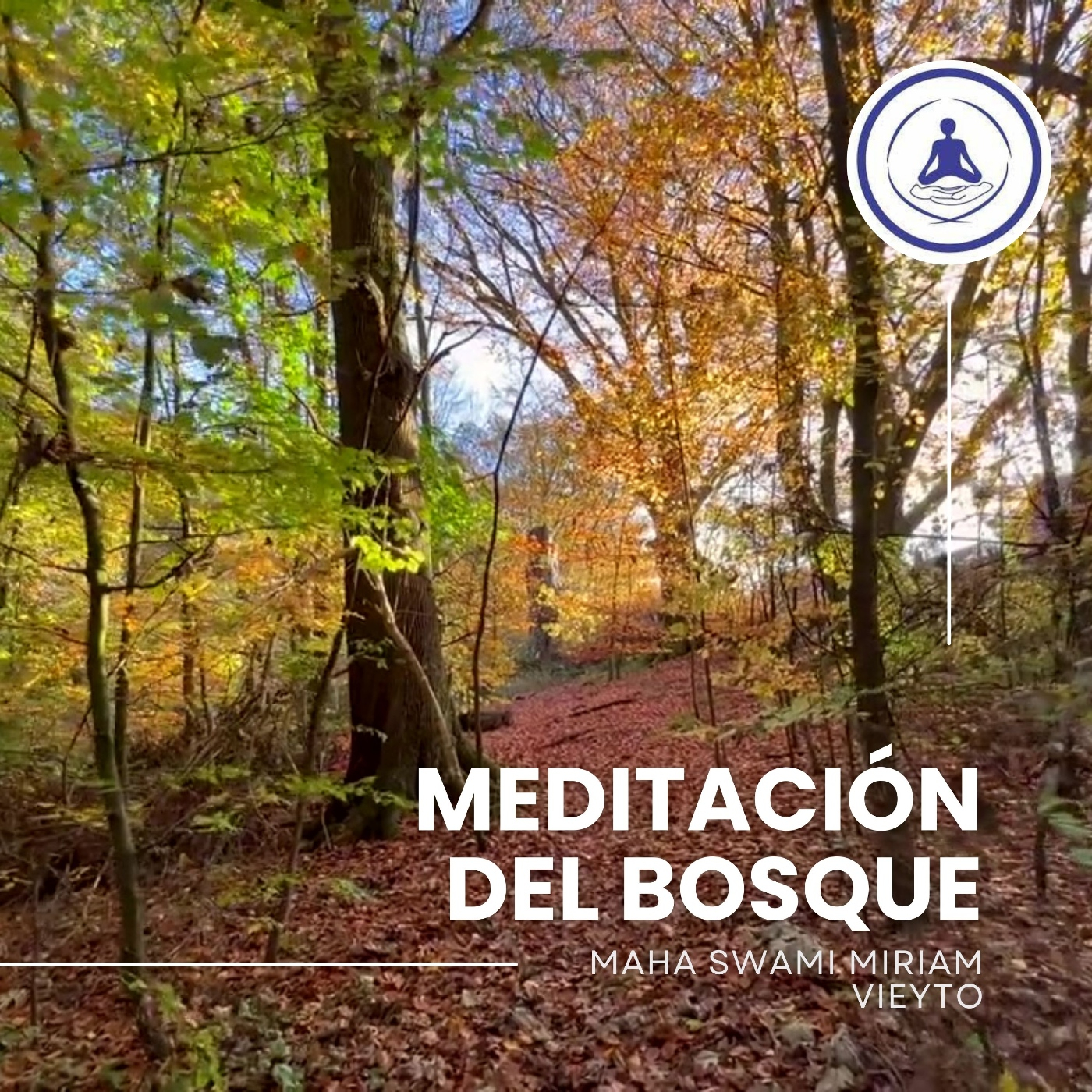 Meditación del bosque episode artwork
