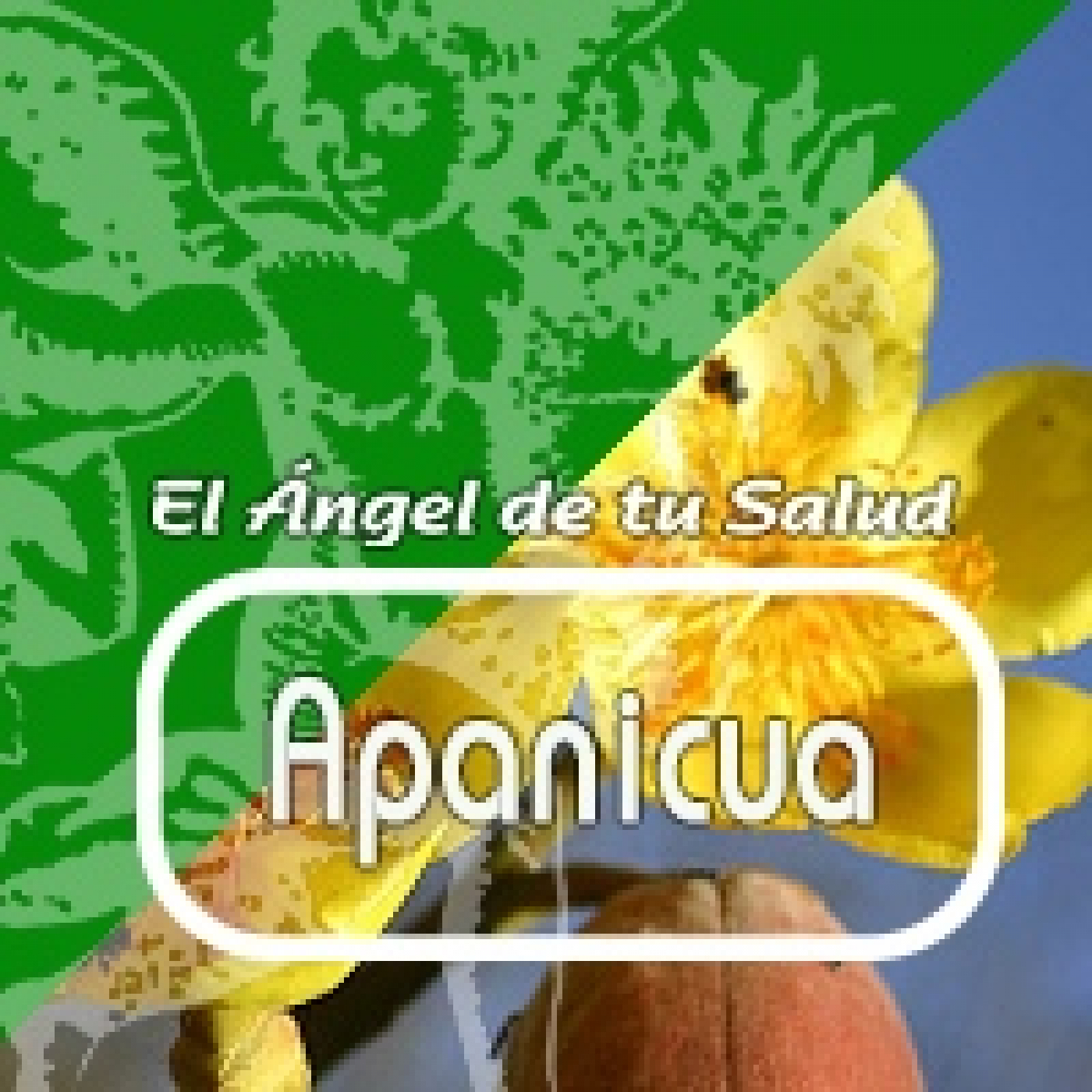 El Ángel de tu Salud - APANICUA*** episode artwork