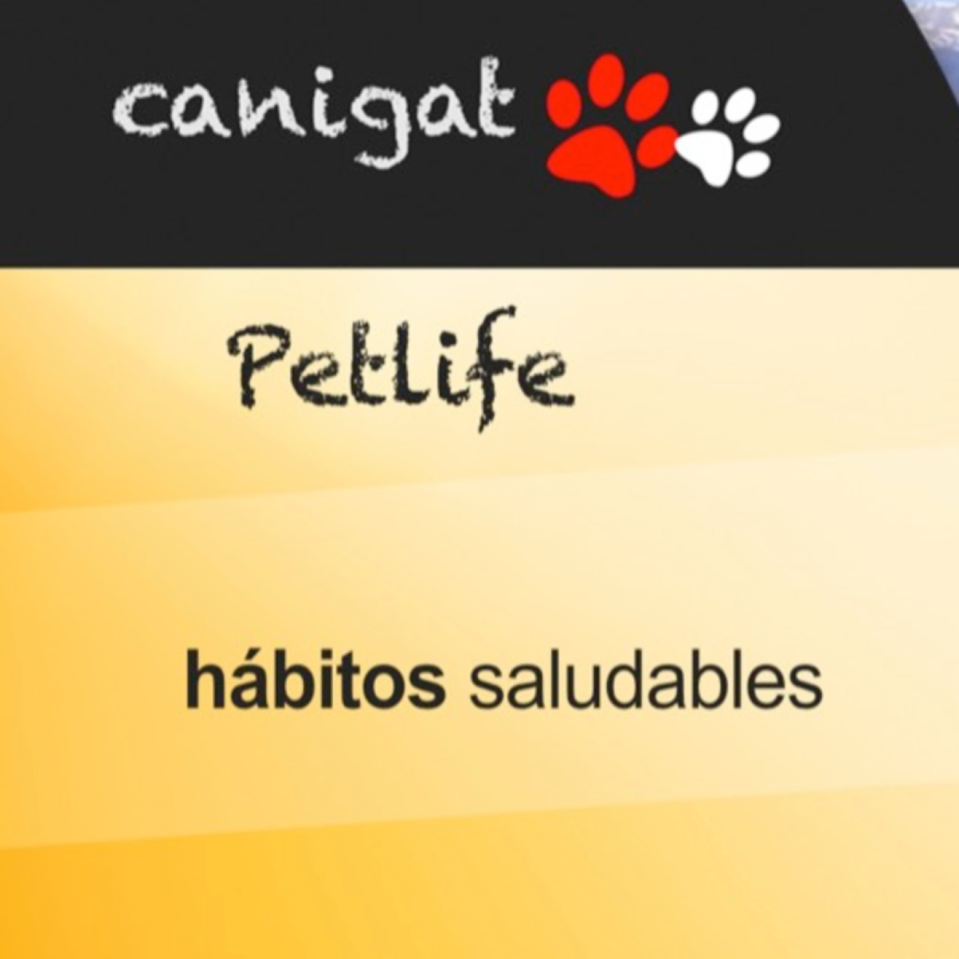 Consejos veterinarios de perros y gatos by canigat