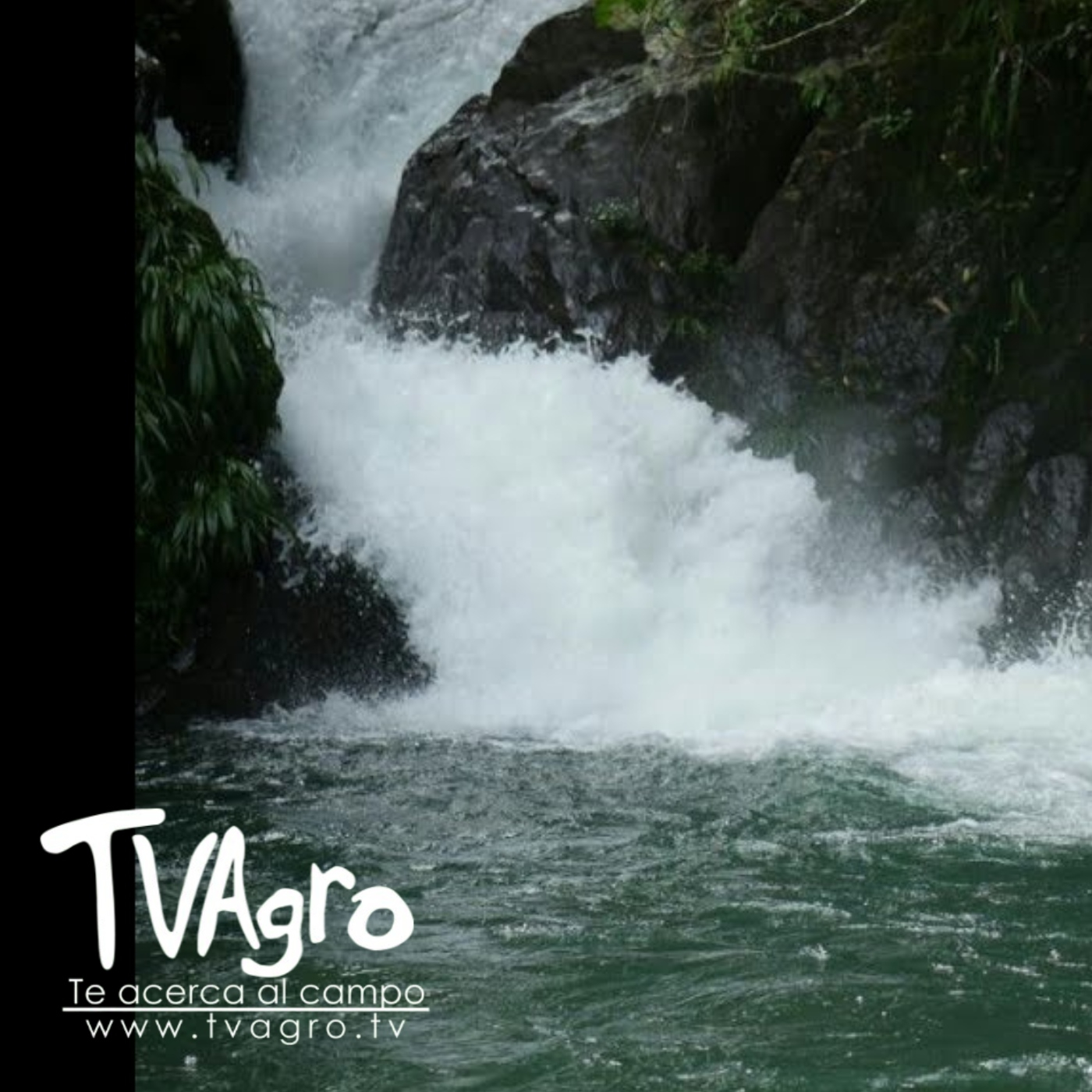 TV AGRO