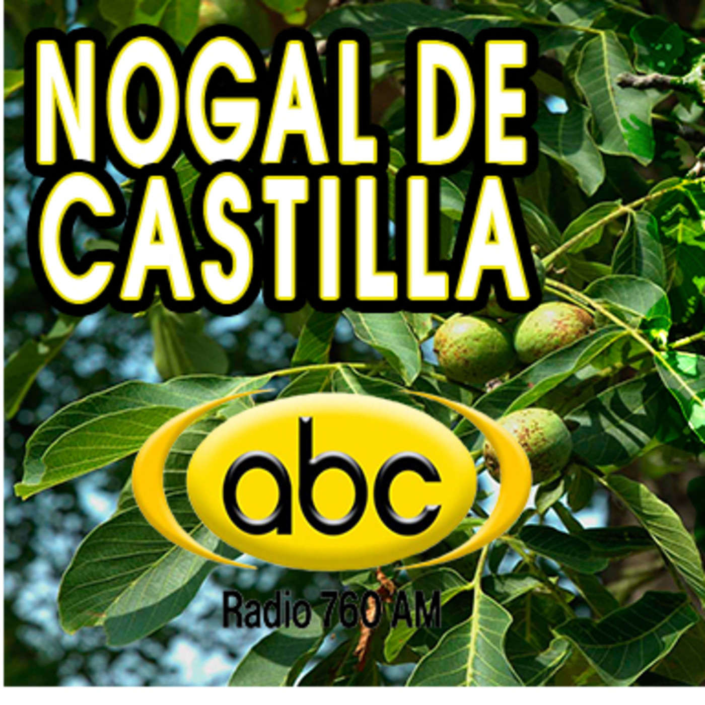 El Ángel de tu Salud - NOGAL DE CASTILLA episode artwork