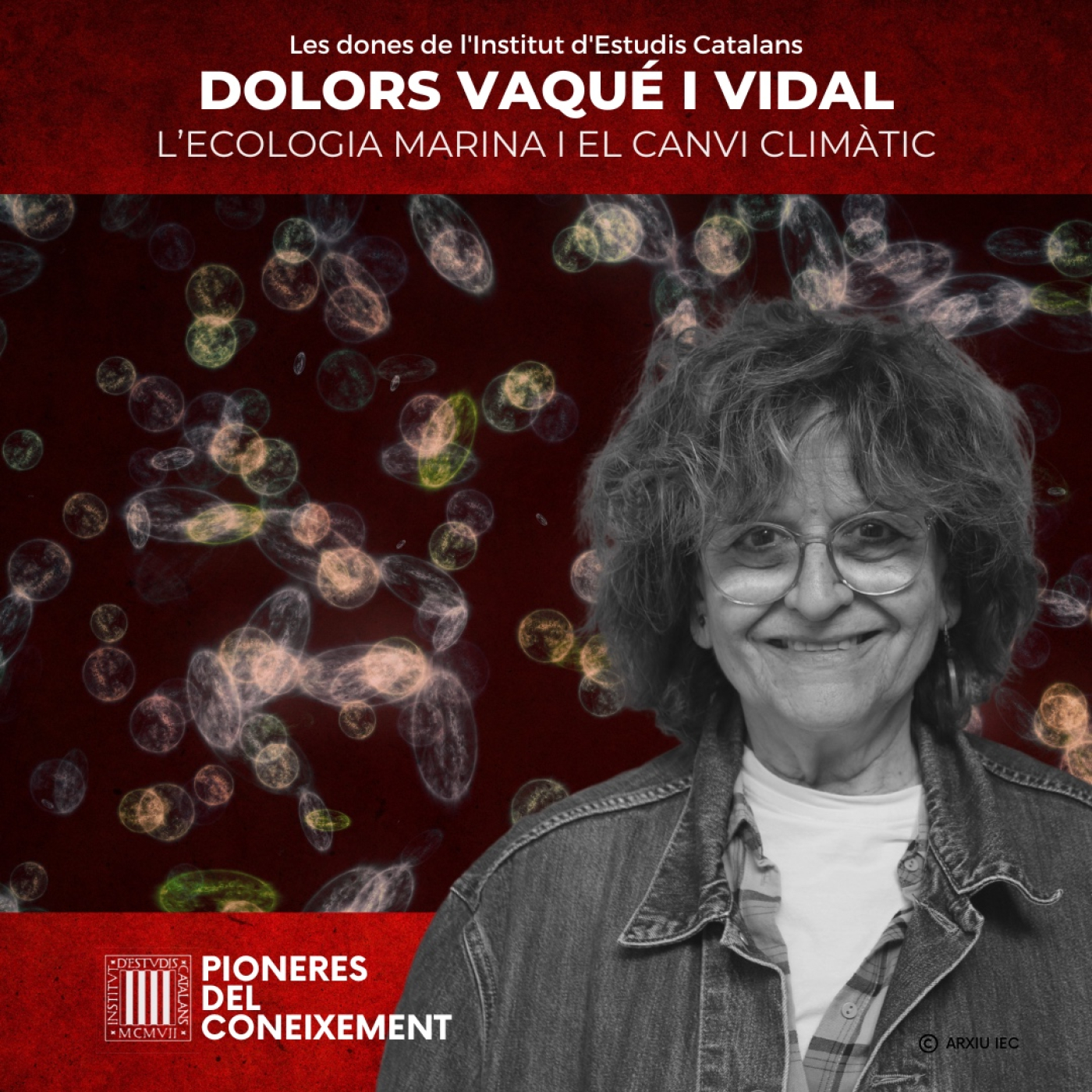 Dolors Vaqué Vidal: l’ecologia marina en un context de canvi climàtic