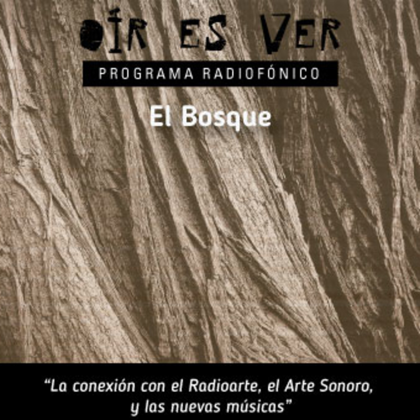 Oír es Ver. Tema: El bosque episode artwork