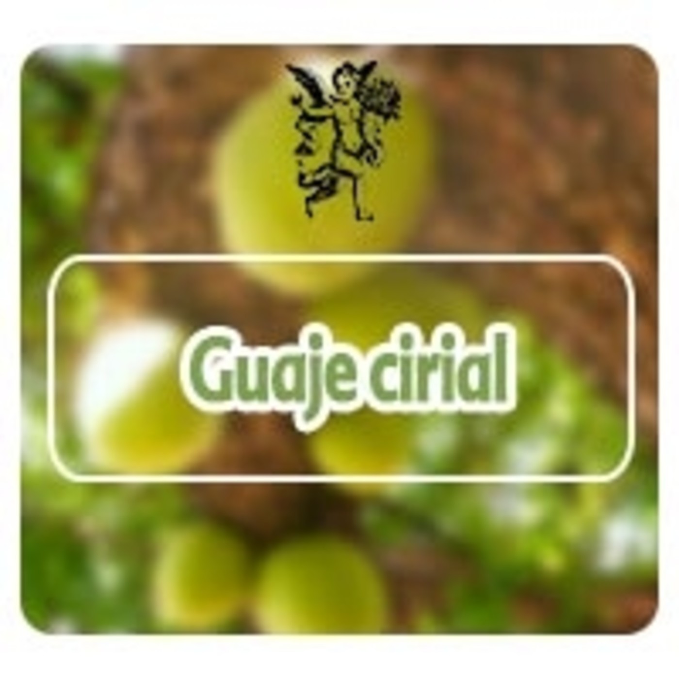 El Ángel de tu Salud - GUAJE CIRIAL** episode artwork