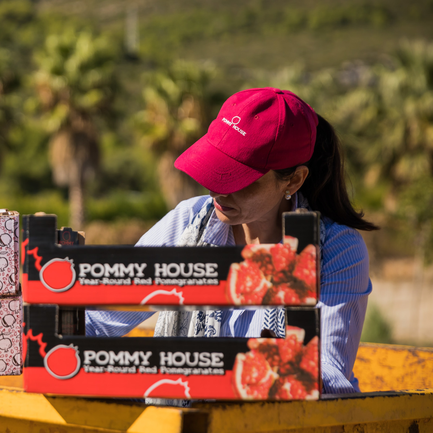 Inversión en agribusiness, con María Fernanda García (Graells March Abogados) Inversión en agribusiness, con María Fernanda García (Graells March Abogados)