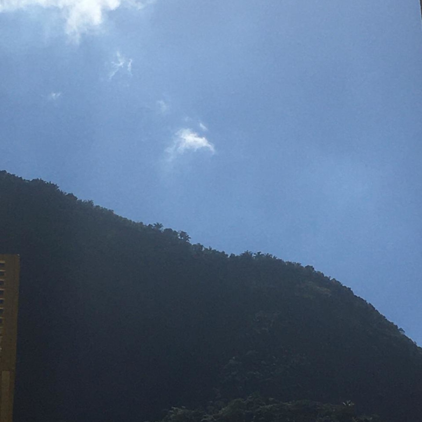 Vozes da quarentena