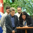 embed image