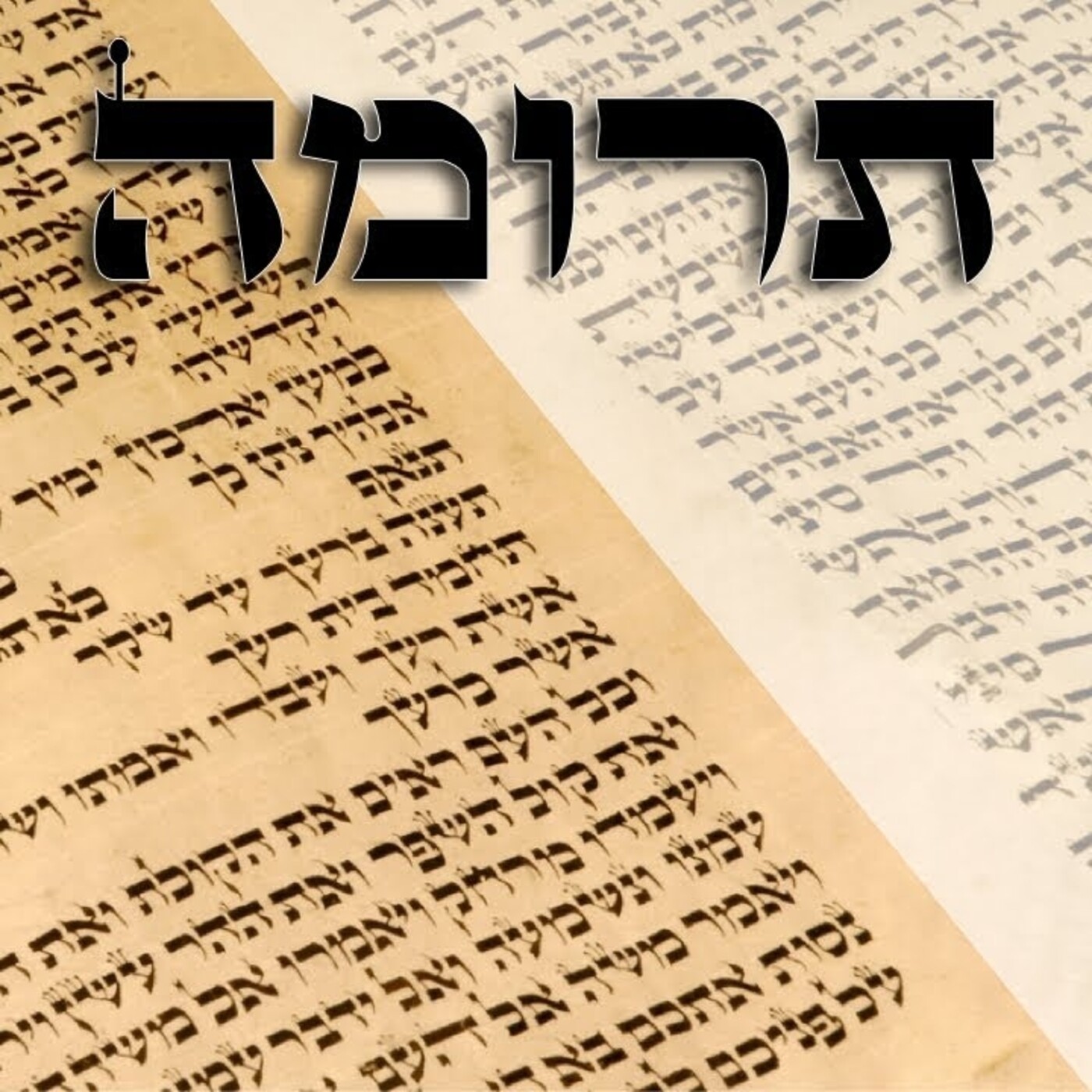 Kfir Ben Yehudáh