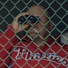 El espionaje en el béisbol