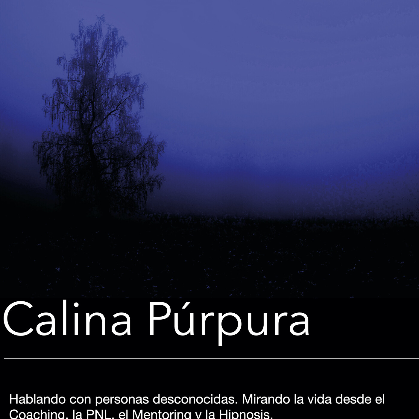 Paul Anwandter, Marisol Castillo y Silvana Trigo