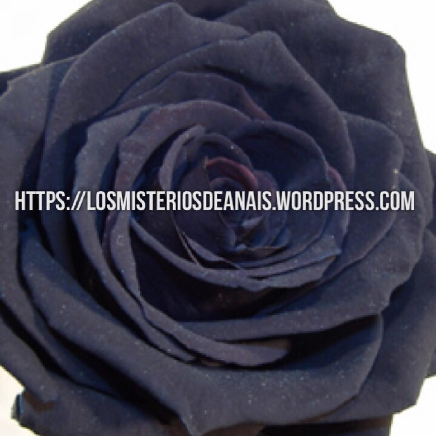 LOS MISTERIOS DE ANAIS