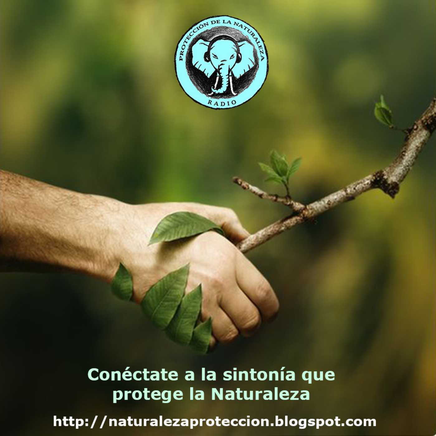 Protección de la Naturaleza Radio