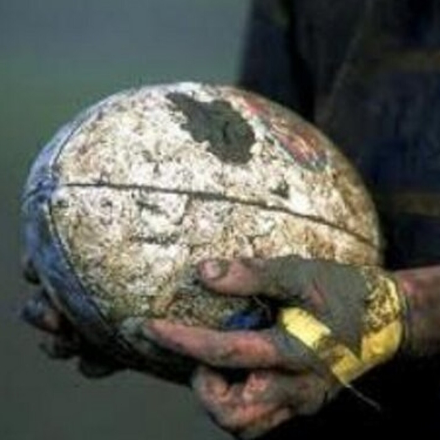 TERCER TIEMPO RUGBY