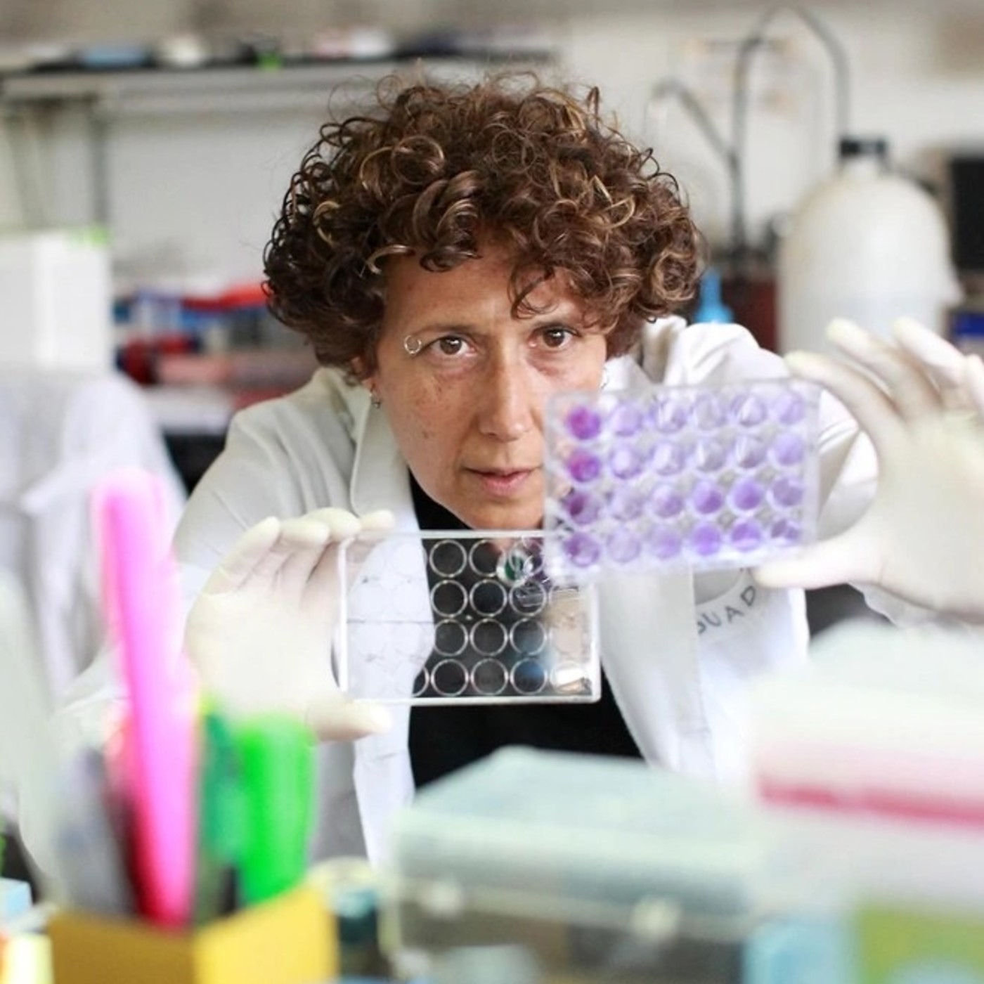 VOCES DISIDENTES - FM SIGNOS