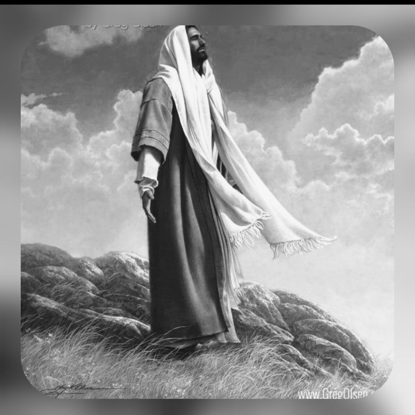 Curso del cambio 5 Curso del cambio 5