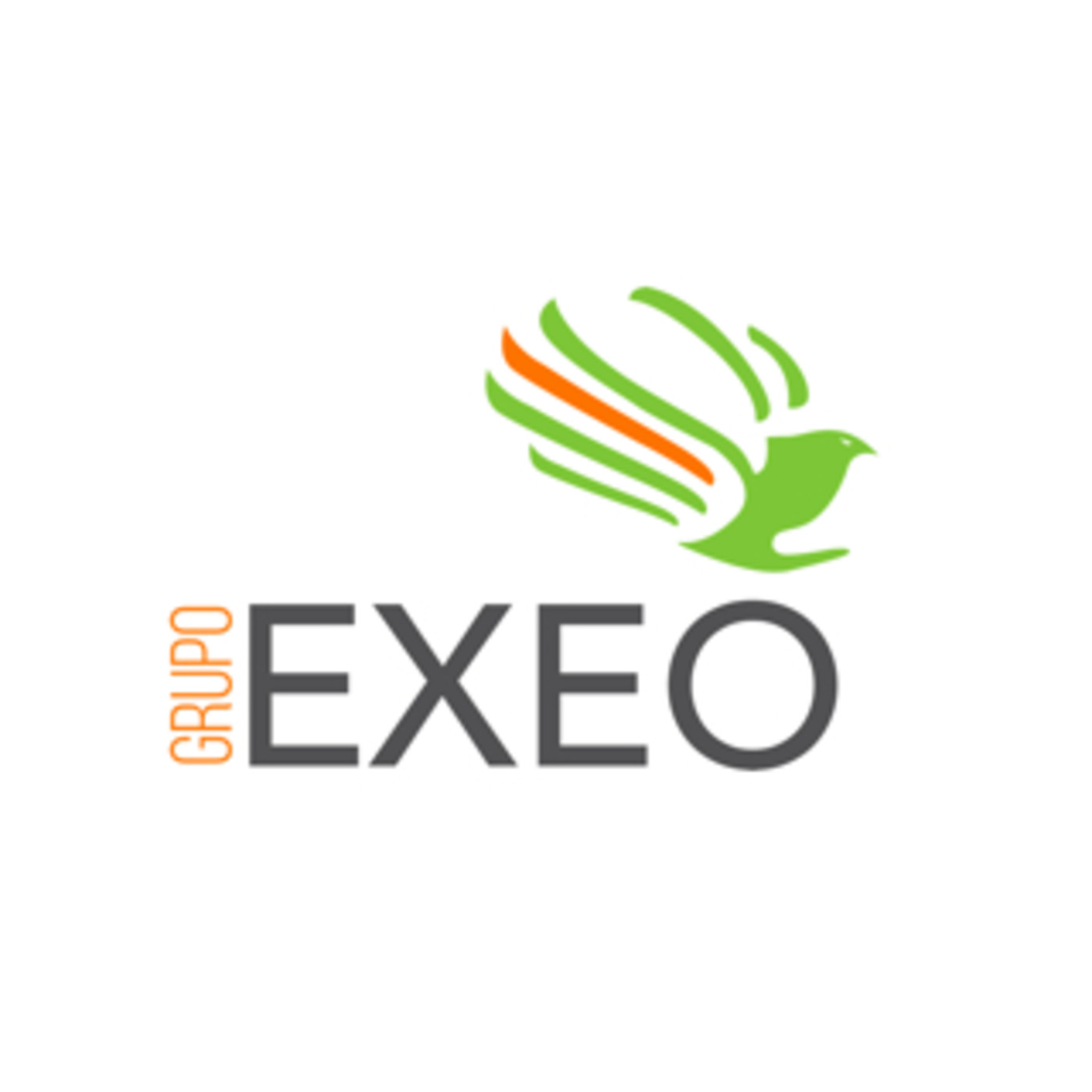 GRUPO EXEO