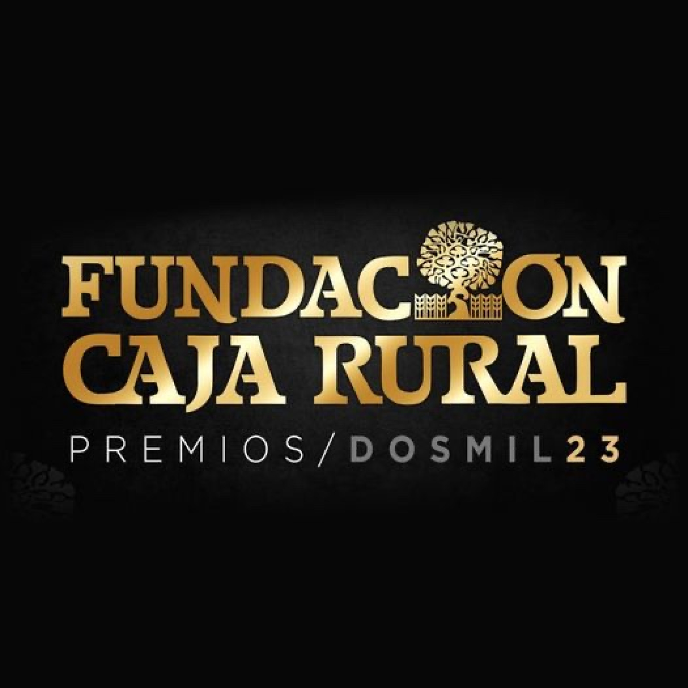 Fundación Caja Rural León Valladolid Zamora